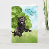 Congratulations reBARKable Cane Corso Dog カード (正面)