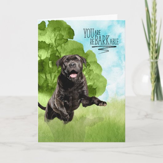 Congratulations reBARKable Cane Corso Dog カード (正面)