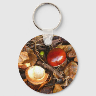 Conkerおよび種の箱Keychain キーホルダー