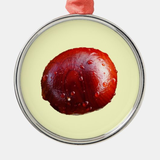 Conkerのオーナメント メタルオーナメント (正面)