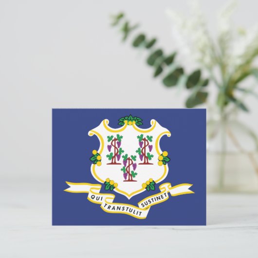 Connecticut Flag Souvenir Nutmeg State Shield ポストカード (スタンド正面)