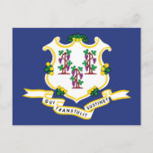 Connecticut Flag Souvenir Nutmeg State Shield ポストカード (正面)