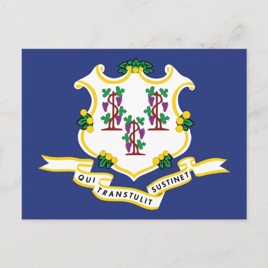 Connecticut Flag Souvenir Nutmeg State Shield ポストカード (正面)