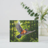 Connecticut State Bird American Robin ポストカード (スタンド正面)