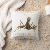 Connecticut Territory Insect The European Mantis クッション (ブランケット)