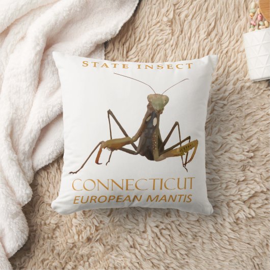 Connecticut Territory Insect The European Mantis クッション (ブランケット)