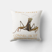 Connecticut Territory Insect The European Mantis クッション (裏面)