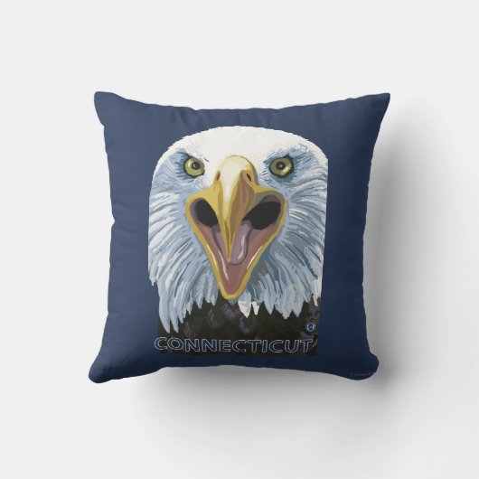 ConnecticutEagleの終わり クッション (裏面)