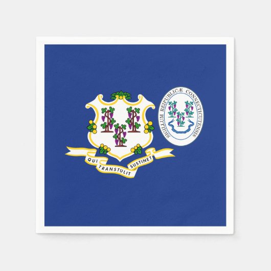 Connecticuter Flag & Seal, Connecticut スタンダードカクテルナプキン (正面)