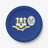 Connecticuter Flag & Seal, Connecticut ペーパープレート (正面)