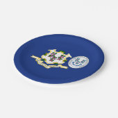 Connecticuter Flag & Seal, Connecticut ペーパープレート (アングル)