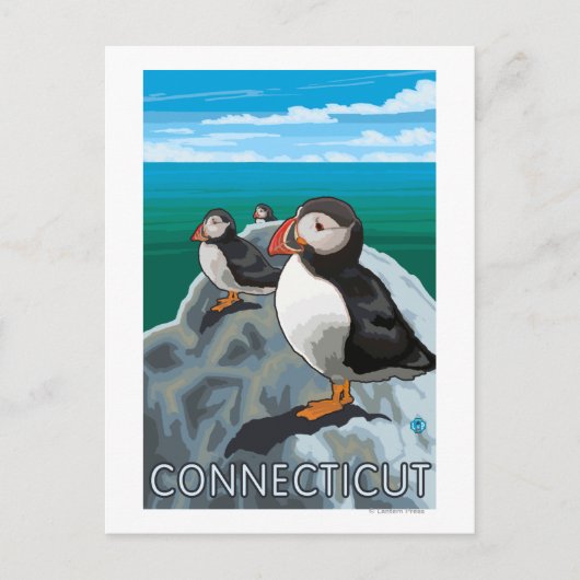 ConnecticutPuffinsシーン ポストカード (正面)