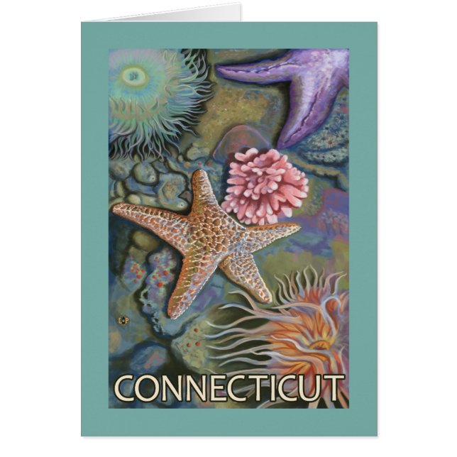 ConnecticutTidepoolシーン (正面)