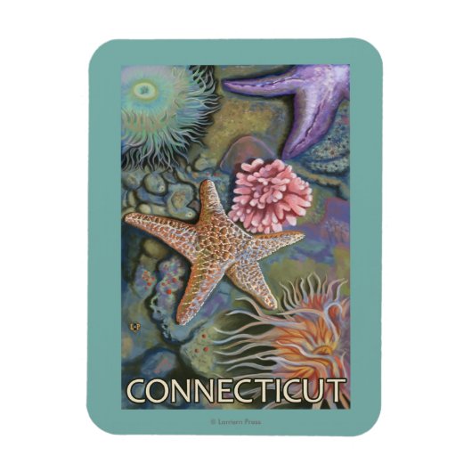 ConnecticutTidepoolシーン マグネット (縦)