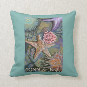 ConnecticutTidepool場面 クッション