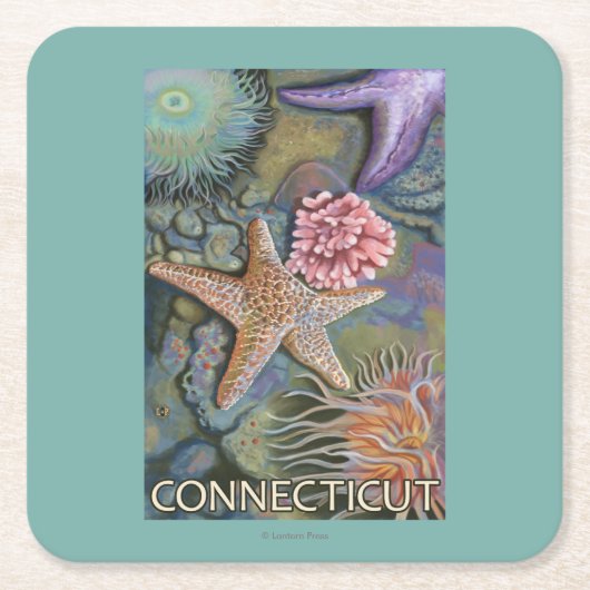 ConnecticutTidepool場面 スクエアペーパーコースター (正面)