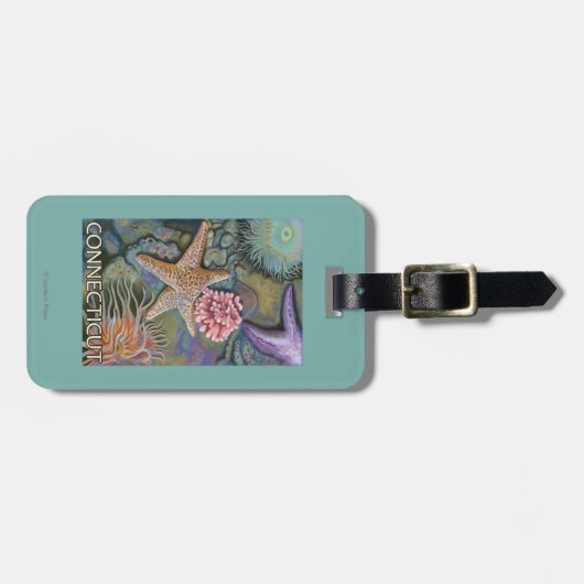 ConnecticutTidepool場面 ラゲッジタグ (正面横)