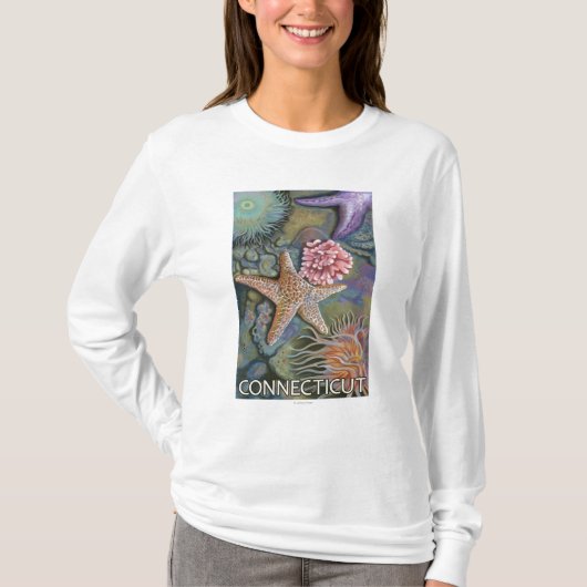 ConnecticutTidepool場面 Tシャツ (正面)