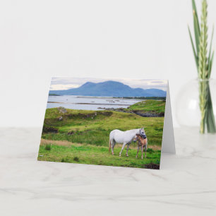 Connemara  ゴールウェイ、アイルランドの馬 カード
