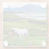 Connemara |ゴールウェイ、アイルランドの馬 ガラスコースター (裏面)
