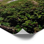 Connemara 11x14 ポスター (角)