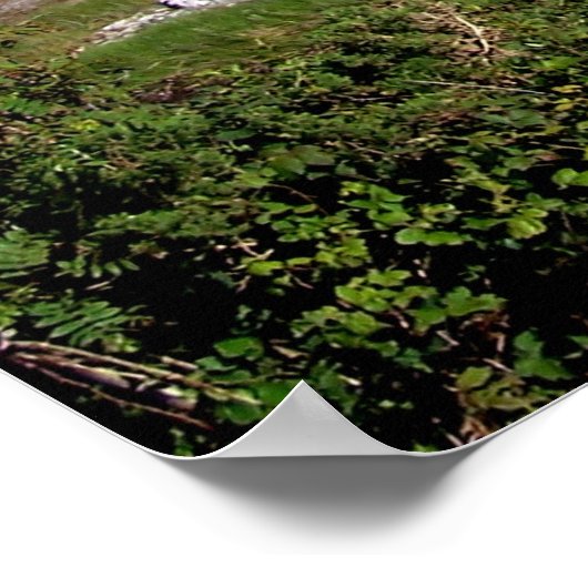 Connemara 11x14 ポスター (角)