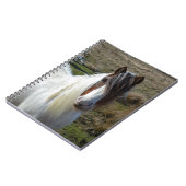 Connemeraの甘い子馬 ノートブック (左側)