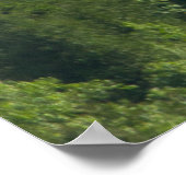 Connors Nubble, Acadia NP, Maineによる霧のストリーミング ポスター (角)