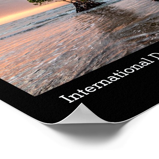 Conservation of the Mangrove、写真 ポスター (角)