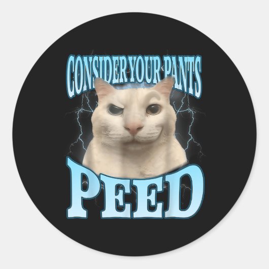 Consider Your Pants Peed Funny Freak Cat Meme Humo ラウンドシール (正面)