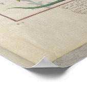 Consiligo, Burreed and Strawberry ポスター (角)