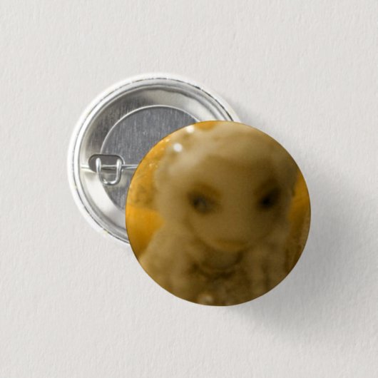 Constance 缶バッジ (正面&裏面)