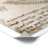 Constant & Parabolic Curvature、レオナルド・ダ・ヴィンチ ポスター (角)