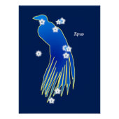 Constellation du Paradisier ポスター (正面)