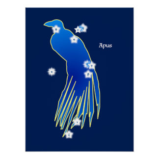 Constellation du Paradisier ポスター