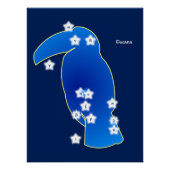 Constellation du Toucan ポスター (正面)