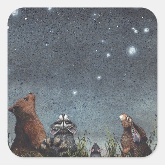 Constellations スクエアシール (正面)