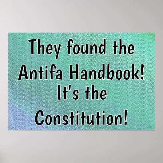 Constitution The Antifa Handbook ポスター (正面)