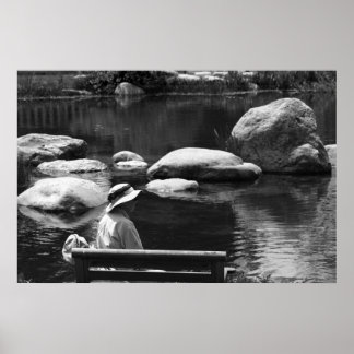 Contemplation, Big Springs Gardens ポスター