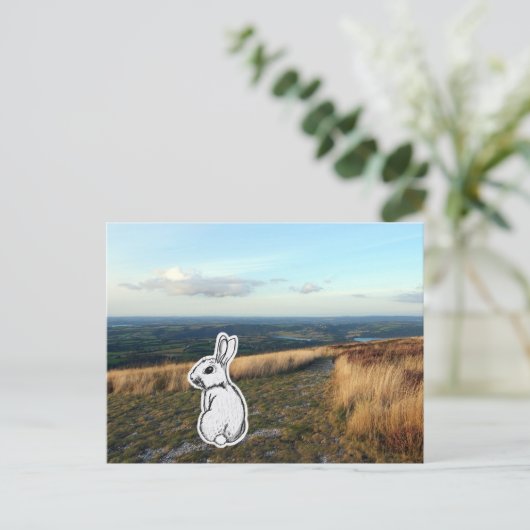Contemplative Rabbit ポストカード (スタンド正面)