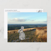 Contemplative Rabbit (color) ポストカード (正面/裏面)