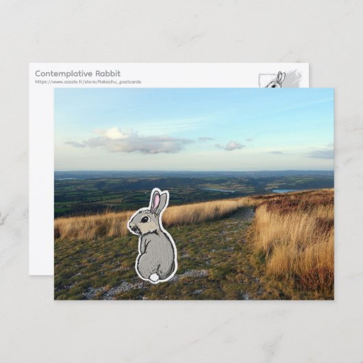 Contemplative Rabbit (color) ポストカード (正面/裏面)