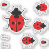 Contour Ladybugs Vinyl Stickersラベル シール (正面)