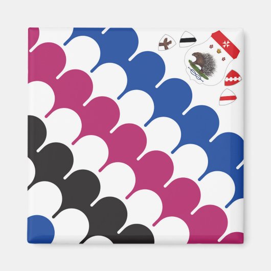 Contrada Sovrana dell' Istrice (Porcupine) Palio マグネット (正面)