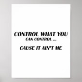 Control What You Can Control Cause It Ain't Me Fun ポスター (正面)