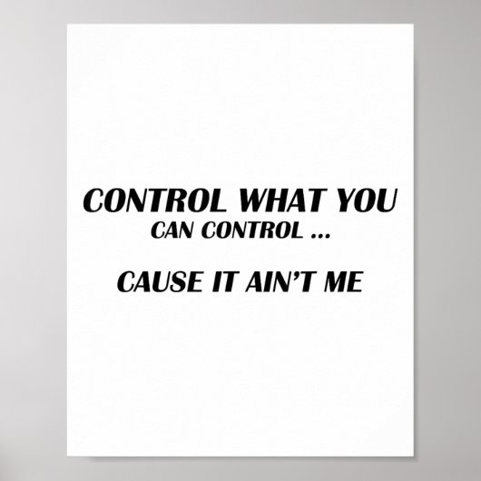 Control What You Can Control Cause It Ain't Me Fun ポスター (正面)