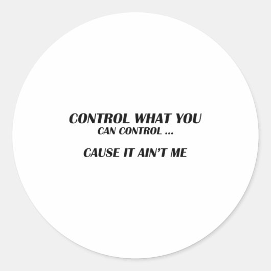 Control What You Can Control Cause It Ain't Me Fun ラウンドシール (正面)
