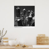 Controlled Pollinesization, Pear Orchard, UCD, 196 ポスター (キッチン)