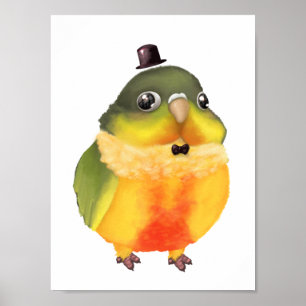 Conureの想像力に富むプリント ポスター