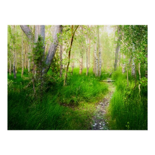 Convict Lake Aspen Meadow Wall Art Nature Print ポスター (正面)